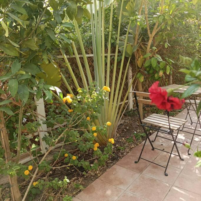 Апартаменти Eilat Stone Terrace-אילת סטון טראס Екстер'єр фото